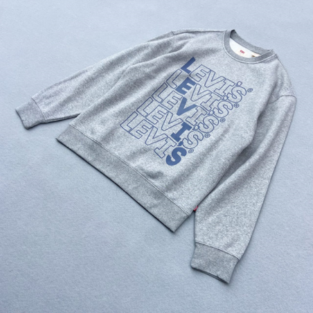 LEVI'S® SUDADERA RELAXED GRAPHIC CREW