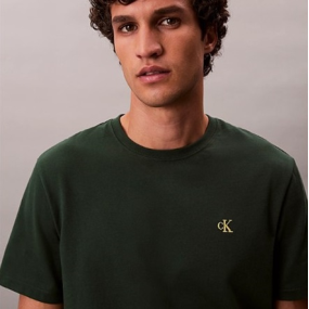 CALVIN KLEIN CAMISETA HOLGADA MONOGRAMA BORDADO 2
