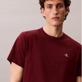 CALVIN KLEIN CAMISETA HOLGADA MONOGRAMA BORDADO 2