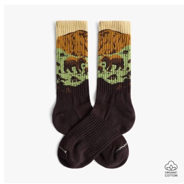 JIMMY LION CALCETINES ATHLETIC BEAR ROCK