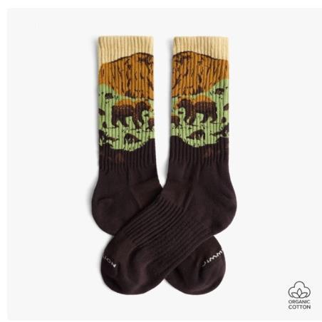 JIMMY LION CALCETINES ATHLETIC BEAR ROCK