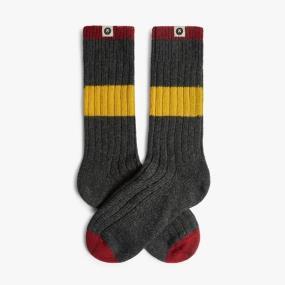 JIMMY LION CALCETINES PREMIUM WINTER REC II