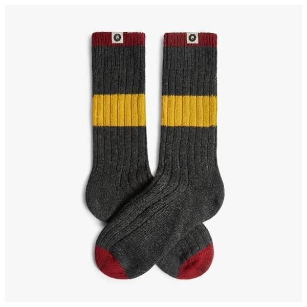 JIMMY LION CALCETINES PREMIUM WINTER REC II