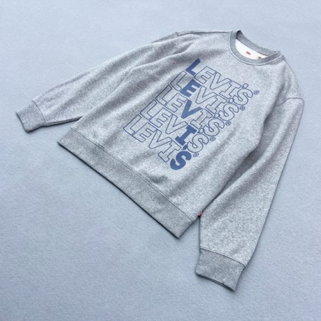 LEVI'S® SUDADERA RELAXED GRAPHIC CREW